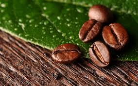 Giá cà phê giảm do chịu áp lực từ dịch virus corona