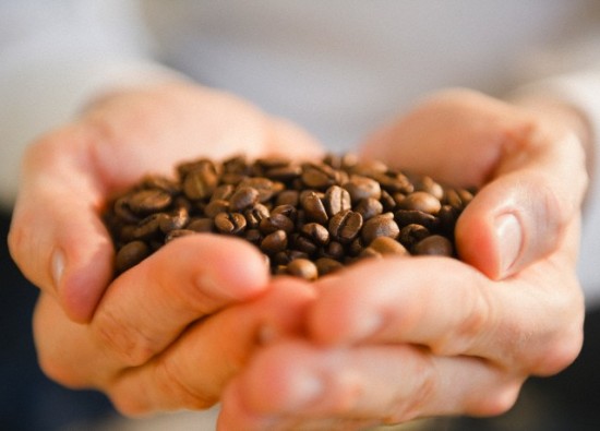Giá cà phê hôm nay 4/11: Nhiều địa phương giảm từ 100 - 200 đồng/kg